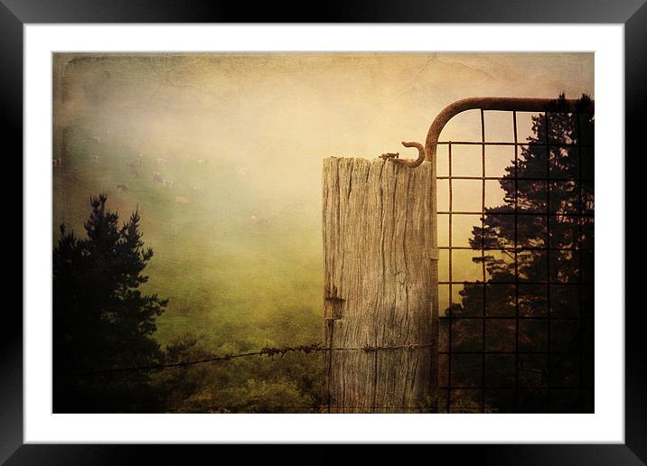 Cows in the clouds Framed Mounted Print by Clare Colins