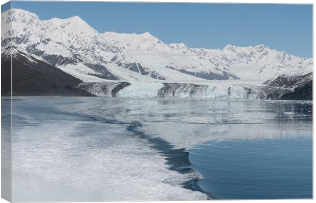 Harvard Tidewater Glacier at the end of College Fjord, Alaska, USA Canvas Print by Dave Collins