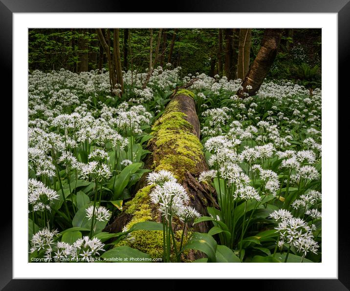 Fallen amongst the garlic Framed Mounted Print by Clive Ingram