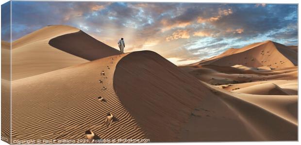 Sunrise over Erg Chebbi Sand Dunes Sahara Morocco Canvas Print by Paul E Williams