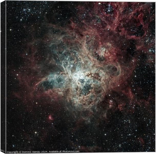 The Tarantula Nebula Canvas Print by Dominic Gareau