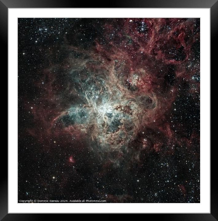 The Tarantula Nebula Framed Mounted Print by Dominic Gareau