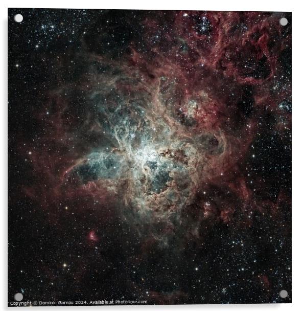 The Tarantula Nebula Acrylic by Dominic Gareau