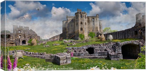 Picturesque Warkworth Castle ruins, Northumberland, England Canvas Print by Paul E Williams