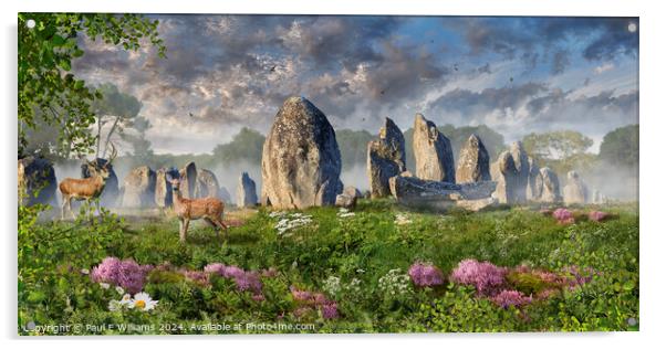 Carnac neolthic standing stones at sunrise,  Franc Acrylic by Paul E Williams