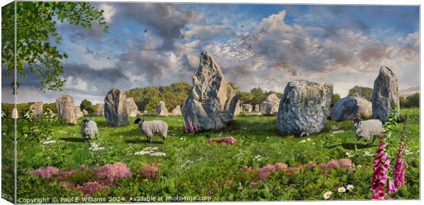 Carnac neolthic standing stones,  France Canvas Print by Paul E Williams