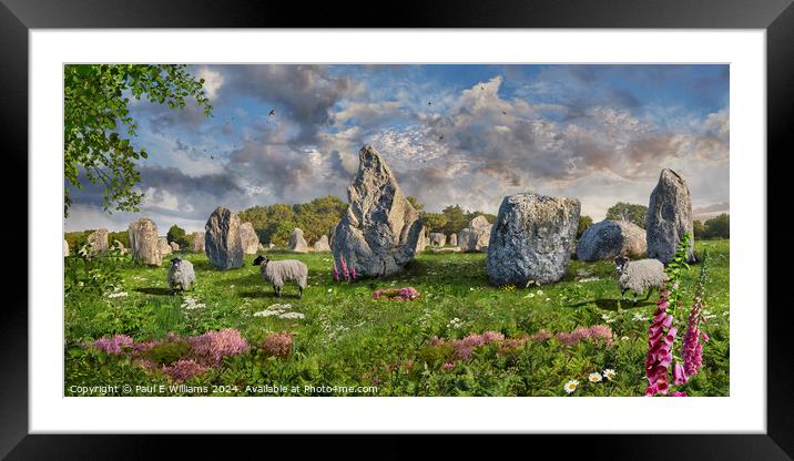 Carnac neolthic standing stones,  France Framed Mounted Print by Paul E Williams
