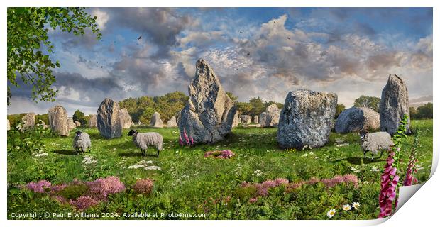 Carnac neolthic standing stones,  France Print by Paul E Williams