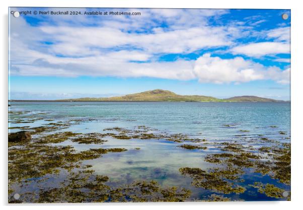 Eriskay Island South Uist, Outer Hebrides Acrylic by Pearl Bucknall