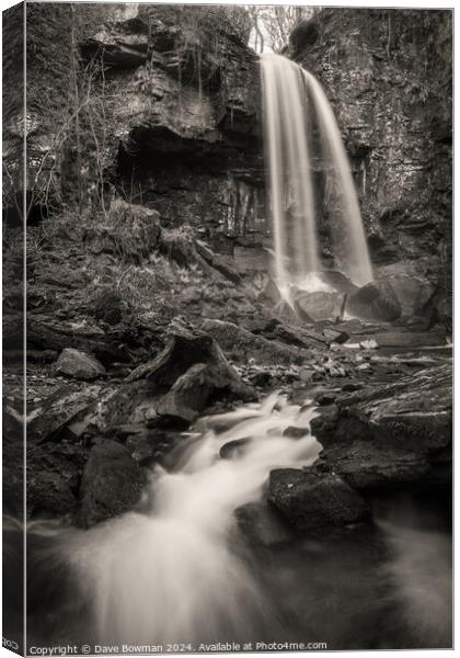 Melincourt Waterfall Canvas Print by Dave Bowman