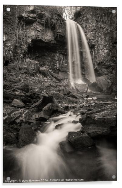 Melincourt Waterfall Acrylic by Dave Bowman