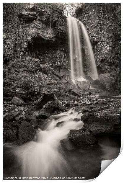 Melincourt Waterfall Print by Dave Bowman