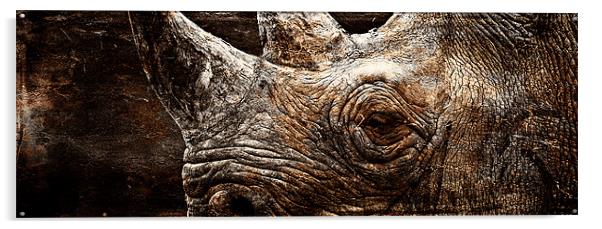 Black Rhinoceros Acrylic by Celtic Origins