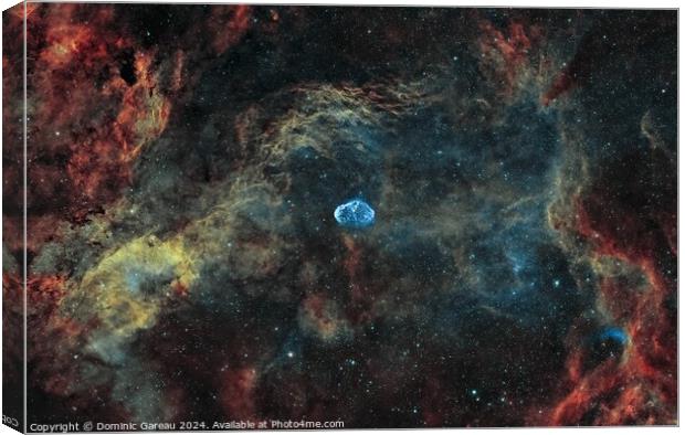 The Crescent Nebula Canvas Print by Dominic Gareau