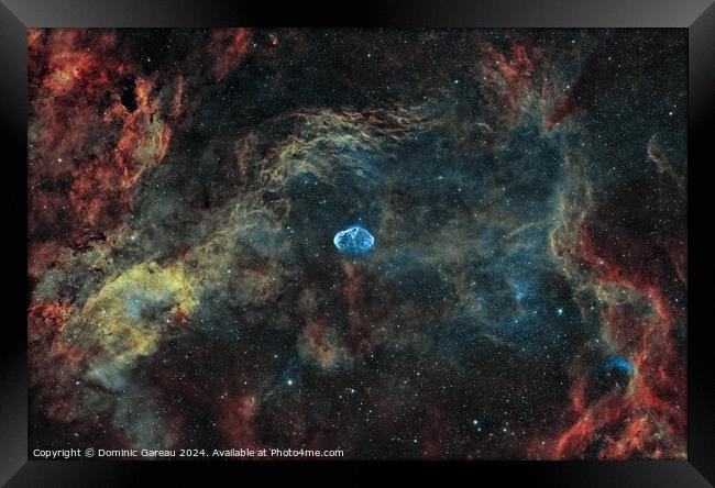 The Crescent Nebula Framed Print by Dominic Gareau