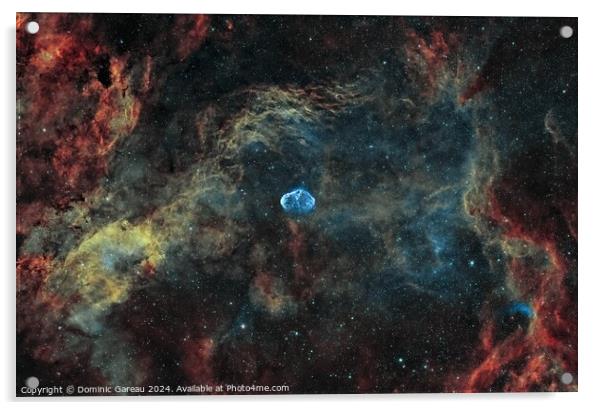 The Crescent Nebula Acrylic by Dominic Gareau