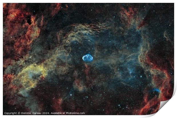 The Crescent Nebula Print by Dominic Gareau