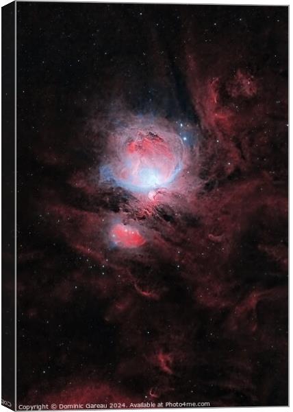 Jewels Of Orion Canvas Print by Dominic Gareau