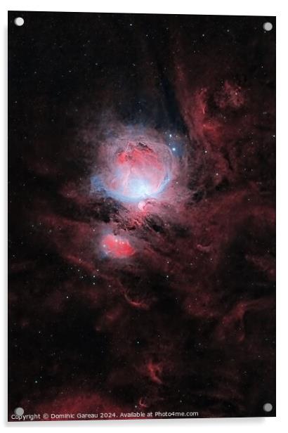 Jewels Of Orion Acrylic by Dominic Gareau