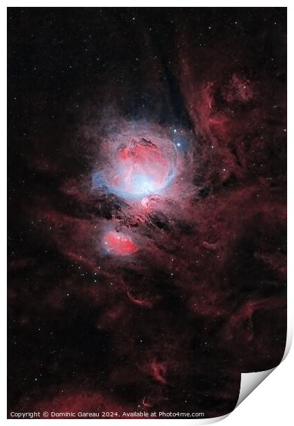 Jewels Of Orion Print by Dominic Gareau