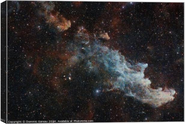 The Witch Head Nebula Canvas Print by Dominic Gareau