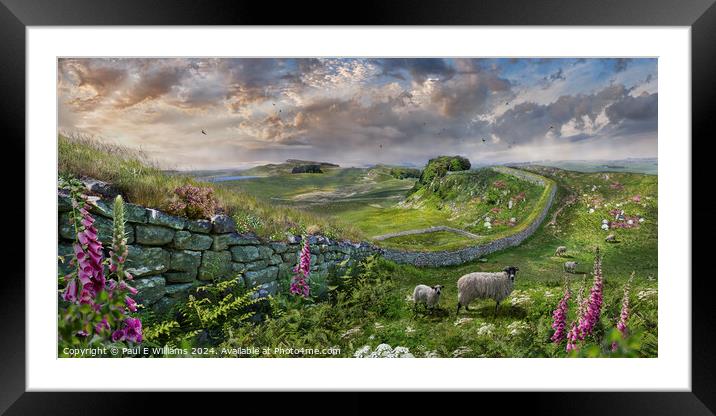 Hadrians Wall near Houseteads Roman Fort, Northumb Framed Mounted Print by Paul E Williams