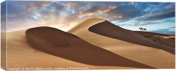 Camels in the Erg Chebbi Sand Dunes, Sahara, Morocco. Canvas Print by Paul E Williams