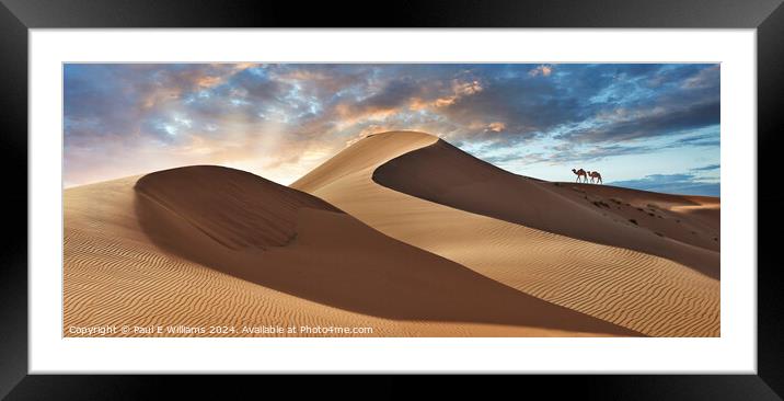 Camels in the Erg Chebbi Sand Dunes, Sahara, Morocco. Framed Mounted Print by Paul E Williams