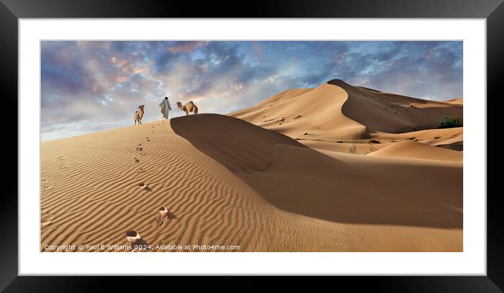 Camels & Berber in the Erg Chebbi Sand Dunes, Sahara, Morocco. Framed Mounted Print by Paul E Williams