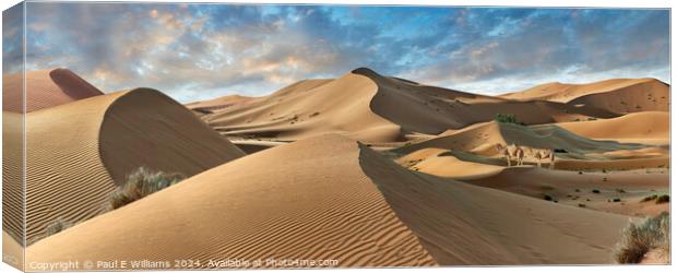 Camels in the Erg Chebbi Sand Dunes, Sahara, Morocco. Canvas Print by Paul E Williams