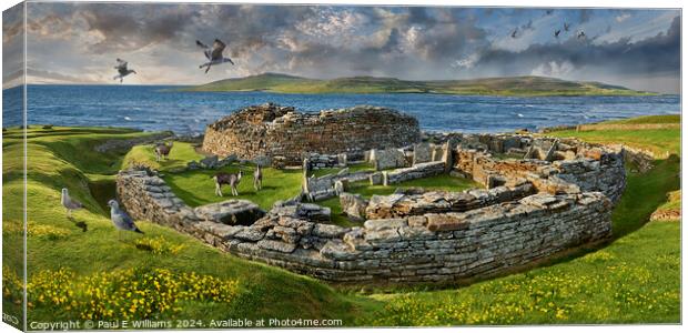The Broch of Gurness Iron Age Fortified Village, O Canvas Print by Paul E Williams