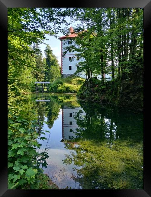 Castle Snežnik, Slovenia  Framed Print by Vesna Sipec