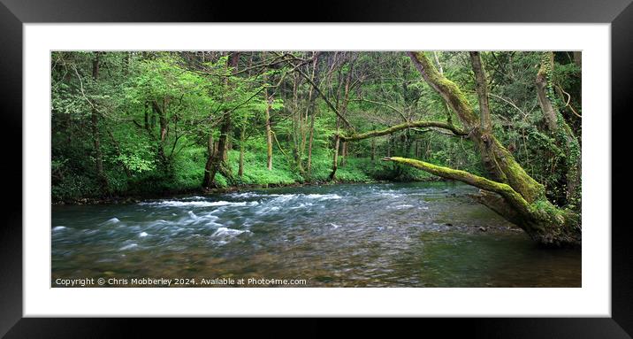 Dove dale river  Framed Mounted Print by Chris Mobberley