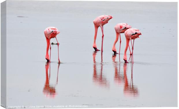 Flamingos in Walvis Bay. Canvas Print by Kristine Sipola