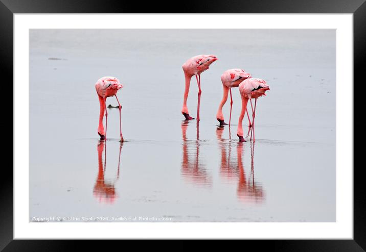 Flamingos in Walvis Bay. Framed Mounted Print by Kristine Sipola