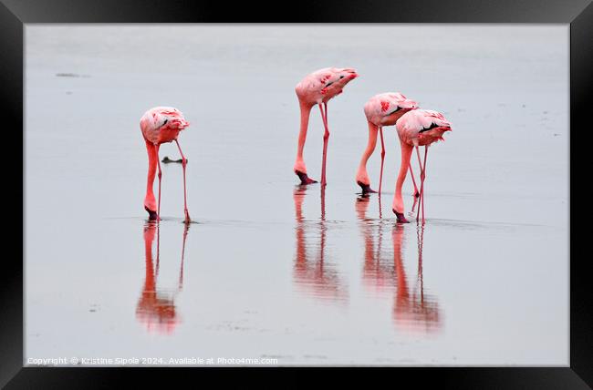 Flamingos in Walvis Bay. Framed Print by Kristine Sipola
