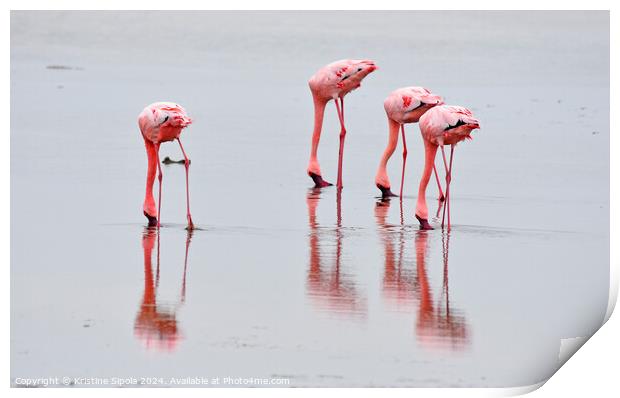 Flamingos in Walvis Bay. Print by Kristine Sipola