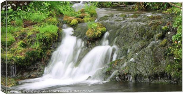 A small stream Canvas Print by Chris Mobberley