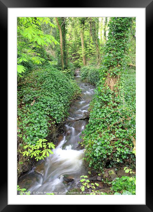 Stream with ivy banks Framed Mounted Print by Chris Mobberley