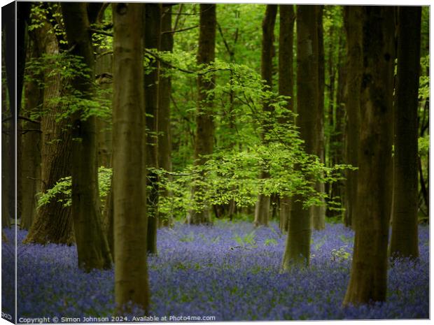 Bluebell woodland Canvas Print by Simon Johnson