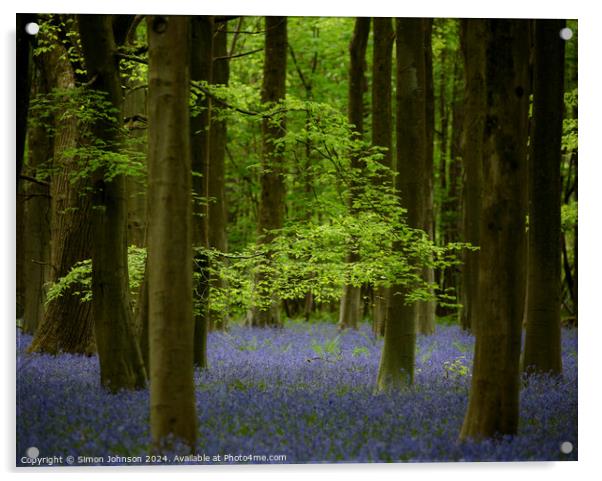 Bluebell woodland Acrylic by Simon Johnson