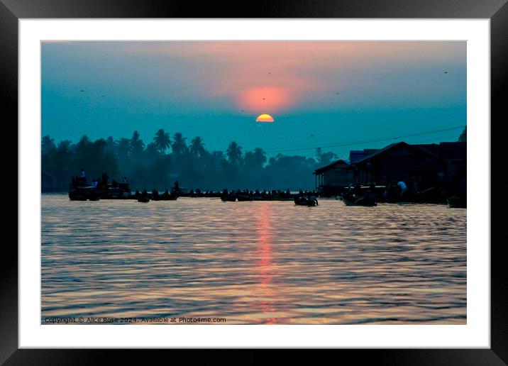 Sunrise Over Lok Baintan, Indonesia Framed Mounted Print by Alice Rose Lenton