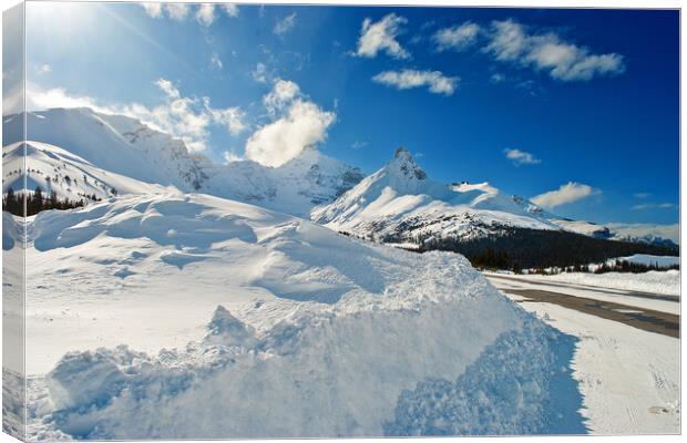 Canadian Rocky Mountains Icefields Parkway Canada Canvas Print by Andy Evans Photos
