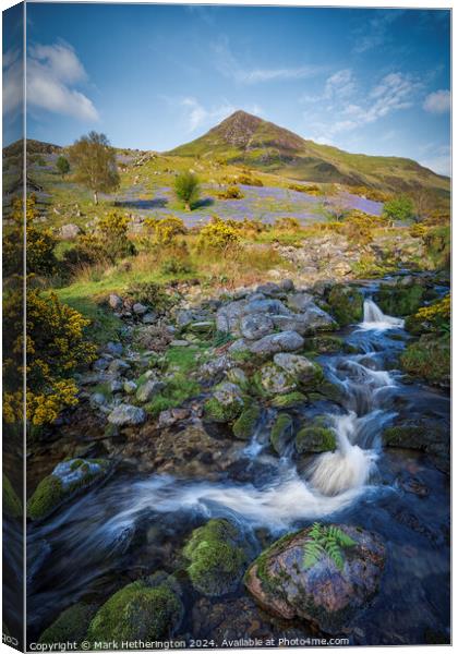 Rannerdale Beck and Whiteless Pike Canvas Print by Mark Hetherington