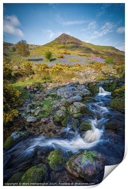 Rannerdale Beck and Whiteless Pike Print by Mark Hetherington