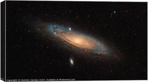 Andromeda Galaxy Canvas Print by Dominic Gareau