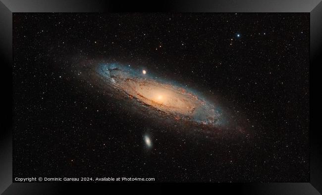 Andromeda Galaxy Framed Print by Dominic Gareau