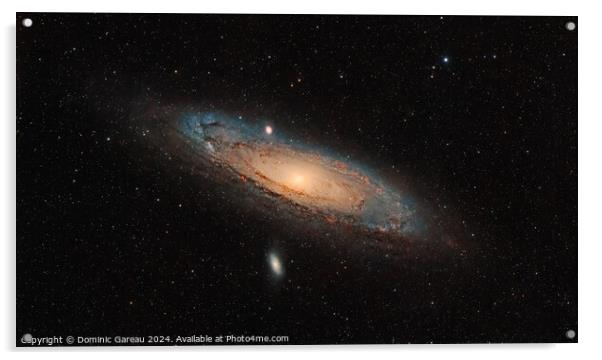 Andromeda Galaxy Acrylic by Dominic Gareau