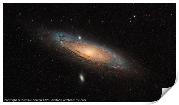 Andromeda Galaxy Print by Dominic Gareau