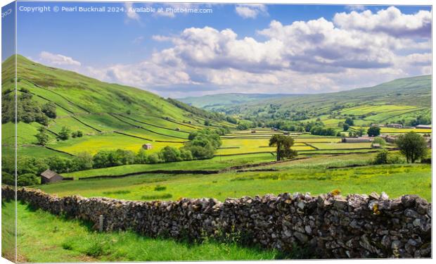 English Countryside in Swaledale, Yorkshire Dales Canvas Print by Pearl Bucknall